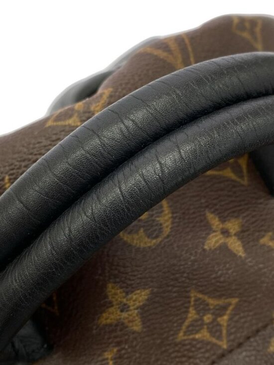 Louis Vuitton Monogram Palm Spring Backpack MM main image 9